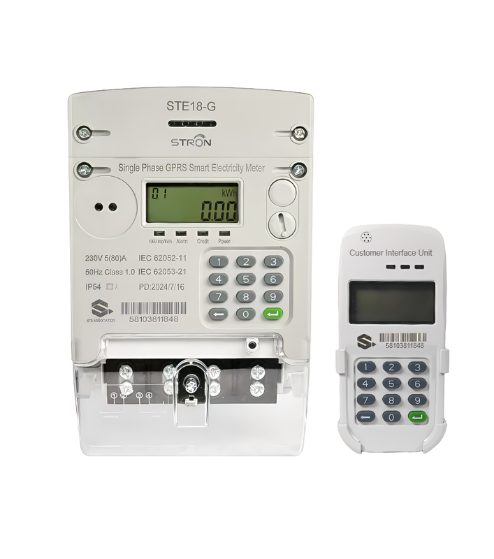 Plug - in Module Smart Electric Meter with Local After - Sales Service in Africa & SEA