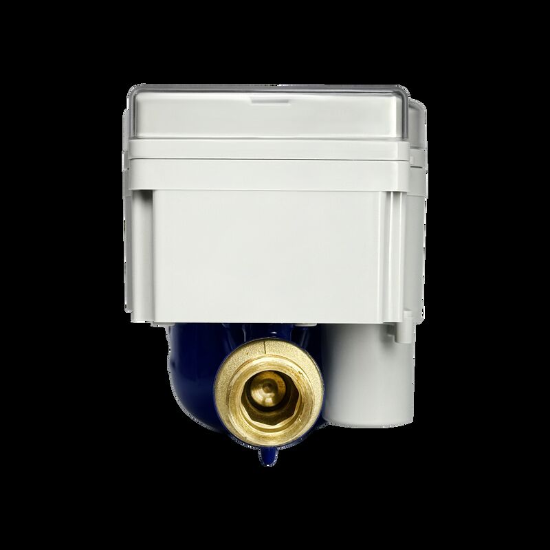 स्ट्रॉन्गस्मार्ट फैक्ट्री डायरेक्ट R100 STS इंटेलिजेंट प्रीपेड वॉटर मीटर स्टेनलेस स्टील केस इंटीग्रेटेड